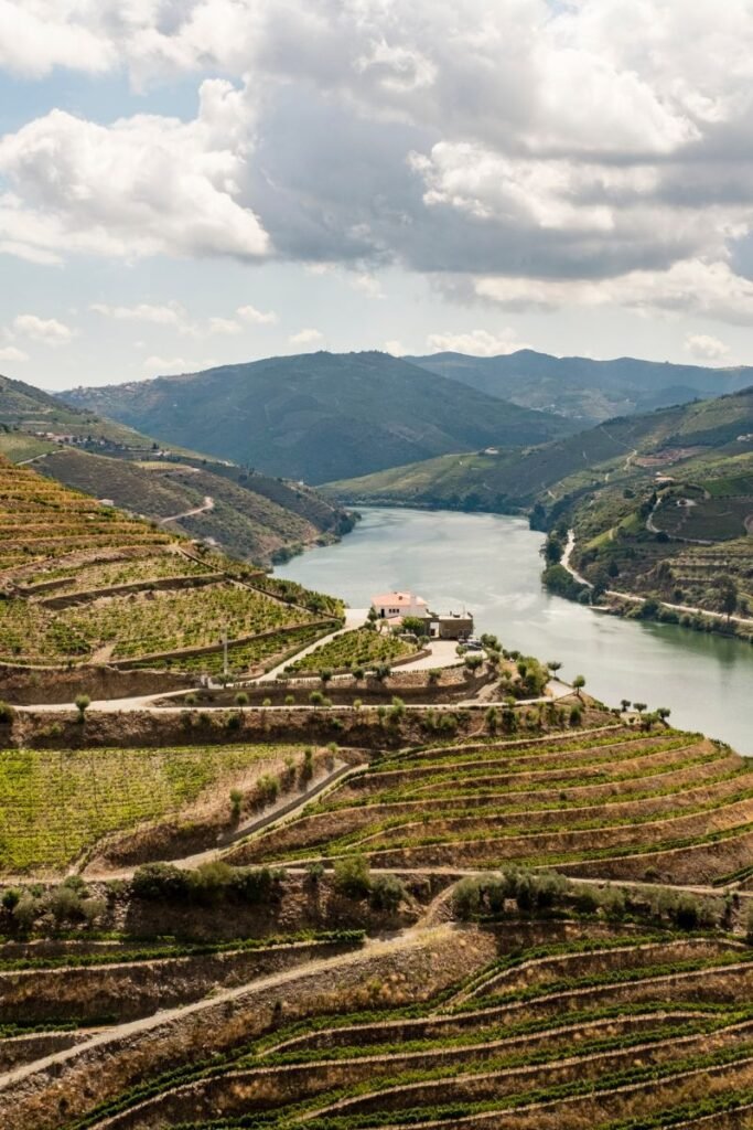 Douro River View