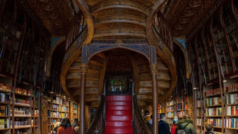 Harry Potter and the Lello Bookstore
